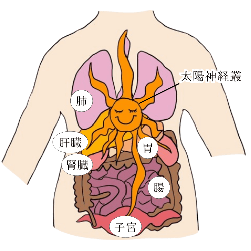 太陽神経叢